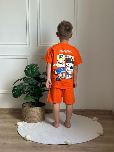 Paw Patrol Playful Sırt Baskılı Turuncu Şortlu Takım